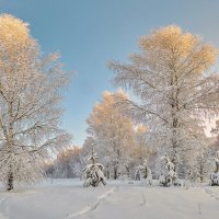 После снегопада :: Юрий Спасенников