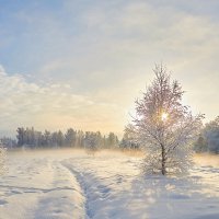 Зимний туман :: Юрий Спасенников