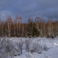 В январе :: Андрей Зайцев