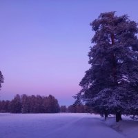 Закат :: Сапсан 