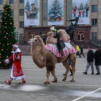 Новогодний караван в Ставрополе. :: Вадим Федотов 