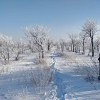 Тропинка... :: Андрей Хлопонин