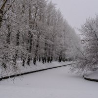 маленький канал для уток, но их нет :: Георгий А