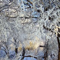 Берендеево царство. :: nadyasilyuk Вознюк