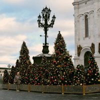 Рождественские ёлочки у Храма Христа Спасителя. :: Татьяна Помогалова