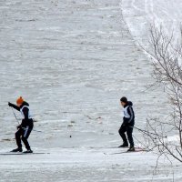 Лыжню,лыжню пожалуйста.... :: nadyasilyuk Вознюк