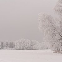 Пейзаж января.. :: Вадим Басов