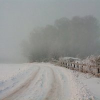 Зимнее туманное утро... :: Алексей Мезенцев