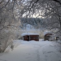 Зимними дорожками :: Ольга 