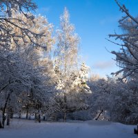 31 декабря. :: Владимир Безбородов