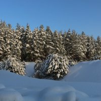 А за городом зима, зима, зима... :: Ольга 