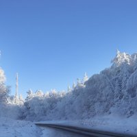 Зимними дорогами :: Галина Ильясова