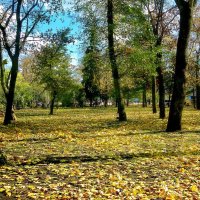 Осень в городе :: Роман Савоцкий