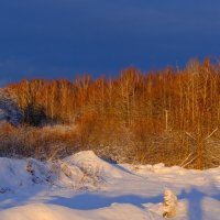 Заснеженный солнечный пейзаж :: Георгий А