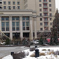 Москва новогодняя. :: Владимир Драгунский