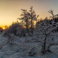 Вечер перед новым годом 4 :: Андрей Дворников