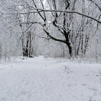 Всю ночь и пол-дня шёл снег с дождём. :: Милешкин Владимир Алексеевич 