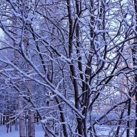 Январь..Снежное утро! :: Владимир 