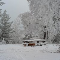 Сибирские морозы: кому-то проблемы, а фотографам - радость! :: Вадим Басов