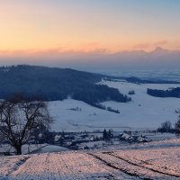 winter morning :: Elena Wymann