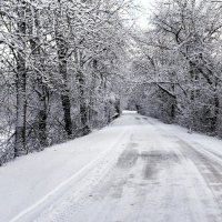 Сельская дорога в январе (репортаж из поездок по области). :: Милешкин Владимир Алексеевич 