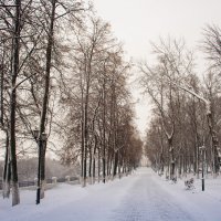 Зимний парк. :: Вячеслав Колобовников