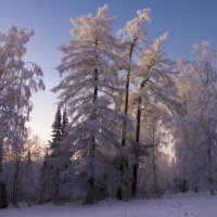 Вечереет... :: Галина Ильясова