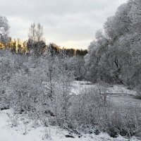 Выступает вода из-под снега (репортаж из поездок по области). :: Милешкин Владимир Алексеевич 