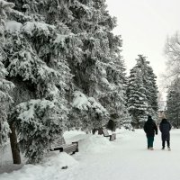 В зимнем парке.. :: Андрей Заломленков