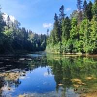 Лопухинка. Радоновые озера :: Сергей Панасюк