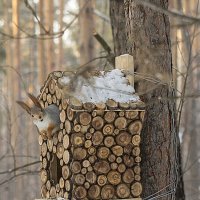 В домике :: Андрей Пристяжнюк