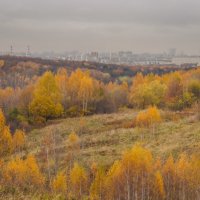 Московская осень... :: Владимир Жданов