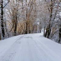 Дорога к солнцу (репортаж из поездок по области). :: Милешкин Владимир Алексеевич 