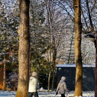 Здоровый образ жизни... :: Николай Саржанов