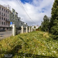 С фотокамерой по Петербургу :: Евгений 