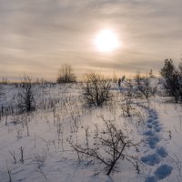 В поиске новых приключений :: Наталья Димова