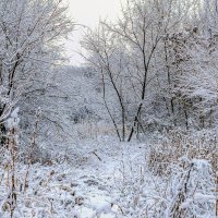 Все засыпало снегом.. :: Юрий Стародубцев