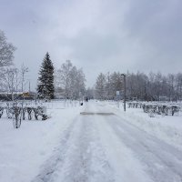 Зимняя улица :: Александр Синдерёв