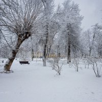 Снежный день января :: Александр Синдерёв