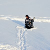 В снежной пустыне :: Татьяна Лютаева