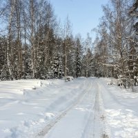 Были раньше зимы :: Валерий Иванович