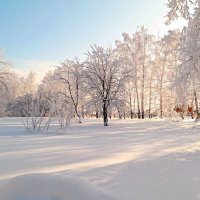 На рассветах января... :: Андрей Заломленков