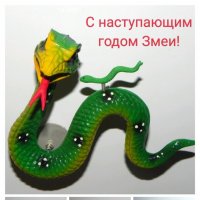 С Новым Годом Годом Змеи! :: Светлана Хращевская