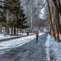 В старом парке :: валера36 .