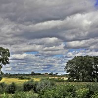 Новгородчина. Рядом Юрьев монастырь :: Наталья 