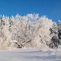 У леса на опушке жила зима в избушке... :: Андрей Заломленков