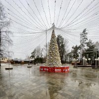 Зима в Подмосковье. :: Людмила Гулина