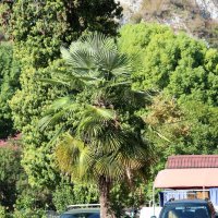 Абхазия :: Андрей Л. В.