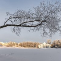 Про Питер :: Владимир Колесников