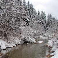 Зима. :: Маргарита ( Марта ) Дрожжина